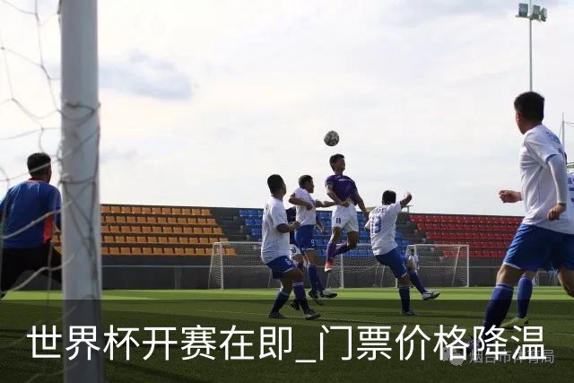 世界杯开赛在即 门票价格降温